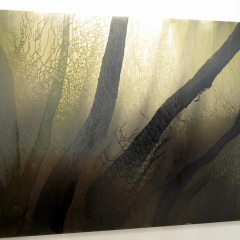 A TERMÉSZET HANGULATA