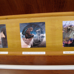 KIÁLLÍTÁS RÉSZLET