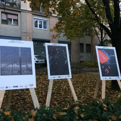 KÉPEM AZ ÁLLVÁNYON