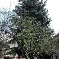 HELYSZÍNI FOTÓ-AJÁNDÉK EGY VENDÉGTŐL