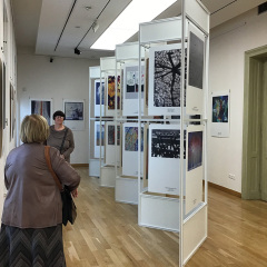 ÁLLVÁNYSOR RÉSZLET 1