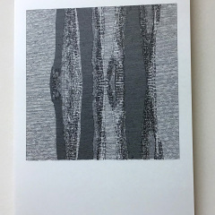 KÉPEM AZ ÁLLVÁNYZATON