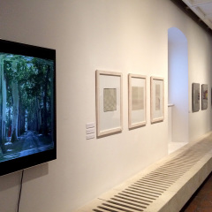 KÉPEIM A HOSSZÚ FALON