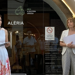 MEGNYITÓ A GALÉRIA ELŐTT