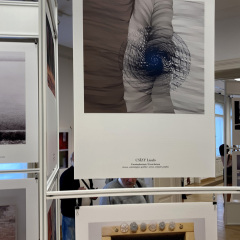 KÉPEM AZ ÁLLVÁNYZATON