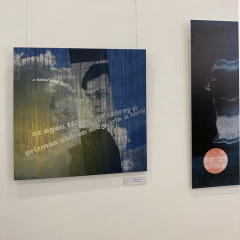 TZARA-KÉPEM A FALON