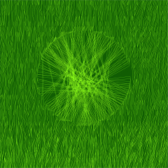 KÉREGÍRÁS-KAPCSOLATOK