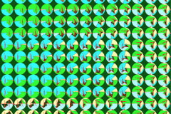 SZÍNEK ÉS FÁZISOK 2009