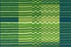 PÁLMALEVÉL MINTÁZAT 2010