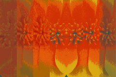 VIRÁGKOSZORÚ 2011