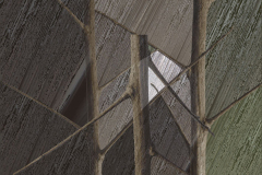 LEVÁGOTT ÁGAK 2011