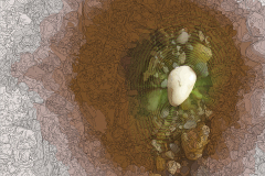 A KIVÁLASZTOTT 2013