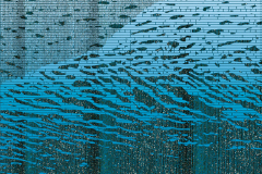 FECSEG A FELSZÍN 2015