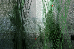 TÁNCRITMUS II. 2016