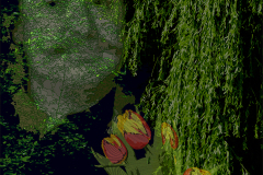 A FEJEDELEM KEDVES VIRÁGAI 2019